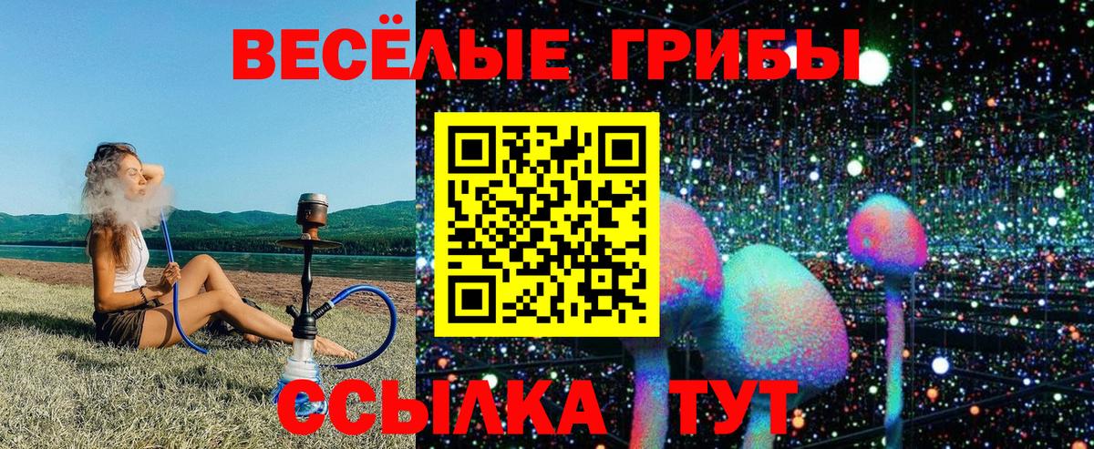 где купить наркоту  Псилоцибиновые грибы Psilocybe  Вход с VPN  Северск 